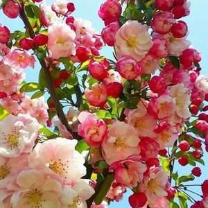 Meet your Posher, Araceli